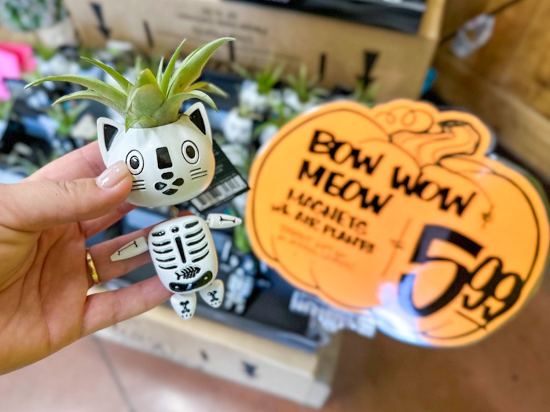 trader-joes-sept-01