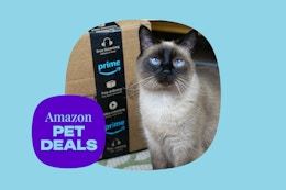 amazon-pet-deals-4