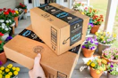 amazon-prime-day-26-11