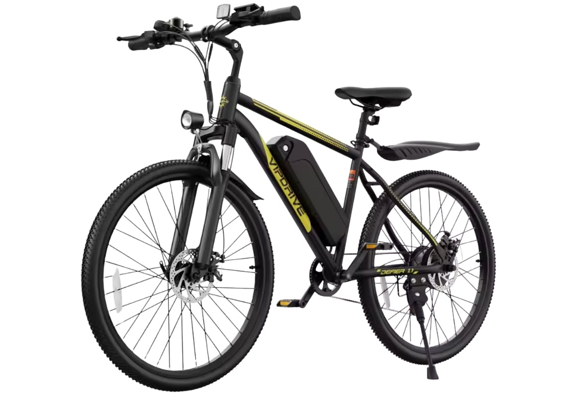 Adult Electric Bike