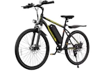 Adult Electric Bike