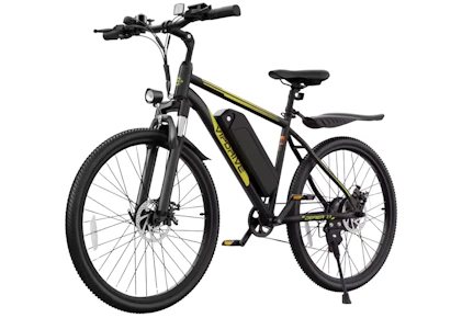 Adult Electric Bike