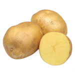 Organic Yellow Potatoes