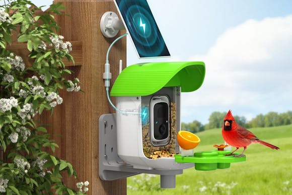 $29.99 Bird Feeder With Camera — Exclusive Amazon Prime Member Deal