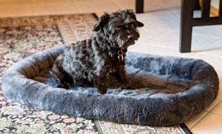 walmart midwest pet products dog bed 2022 1652371829 1652371829