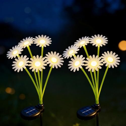 Solar Outdoor Lights 2-Pack