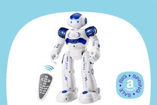 Smart Interactive Robot