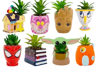 toynx-character-succulents-2023-1