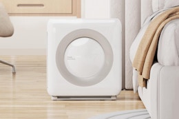 coway air purifier