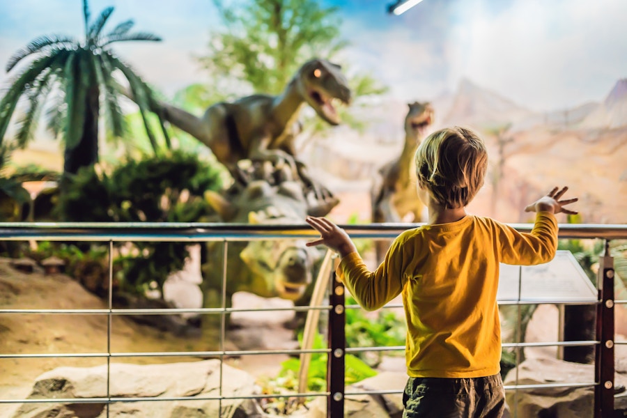 dreamstime-dinosaur-museum-134851551