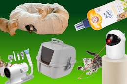 Amazon's Best Pet Deals: $11 Cat Laser Toy, $5 Dog Blanket, $3 Itch Spray card image