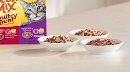 bowls of wet cat food