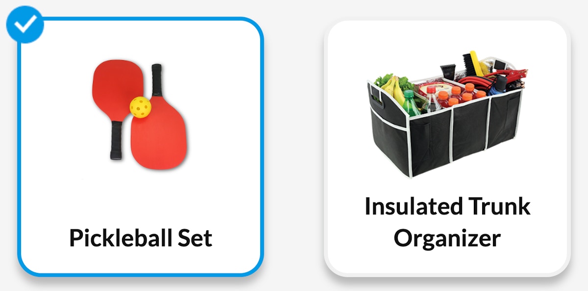 aarp-pickleball-set