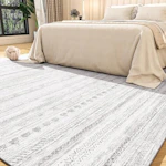Area Rug