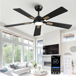 Ceiling Fan
