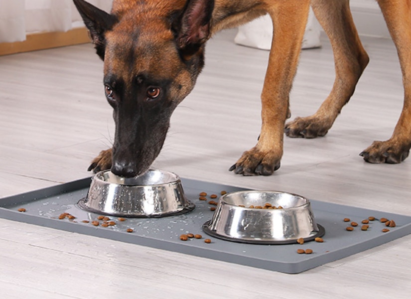 Amazon Pet Feeding Mat 2025 2