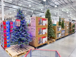 costco-holiday-christmas-trees