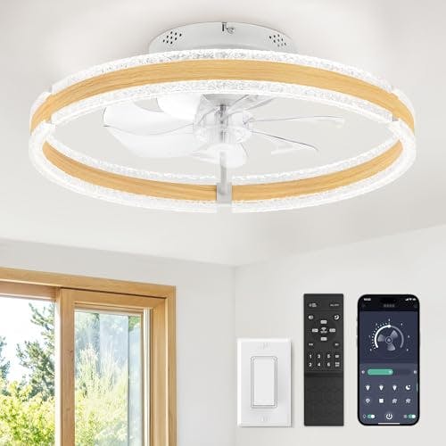 Ceiling Fan with Light