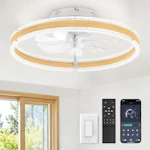 Ceiling Fan with Light