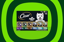 Cesar Wet Dog Food 36-Pack, as Low as $15.99 on Amazon (Reg. $40) card image