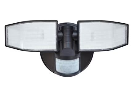 Good Earth Flood Light