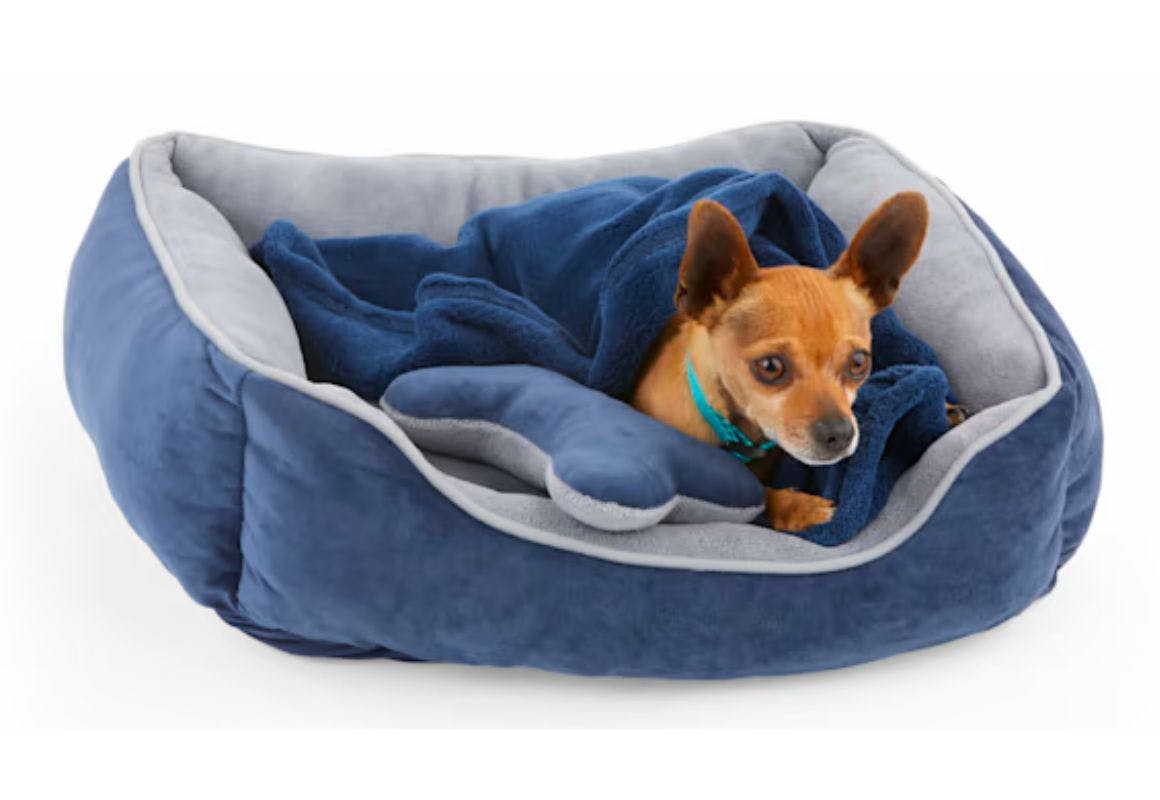 Petco dog 2024 bed coupon