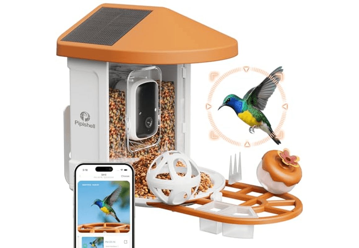 Camera Bird Feeder