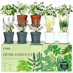 Indoor Herb Garden Kit
