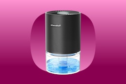 Mini Dehumidifier, Now $33.99 on Amazon card image