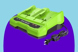 Greenworks 24V Dual Port Battery Charger on a blue background.