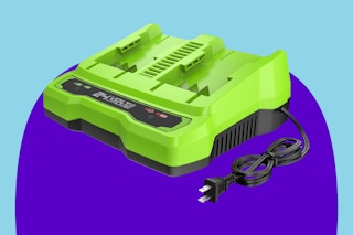 Greenworks 24V Dual Port Battery Charger on a blue background.