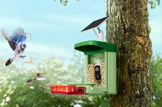 Bilantan Smart Bird Feeder outside on a tree.