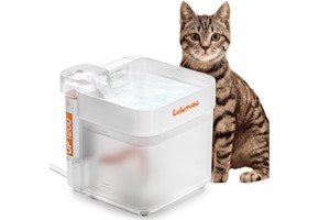 Cat Water Fountain