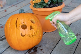 halloween carved pumpkin stop insects with peppermint 05 1538002523