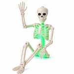 Light Up Skeleton