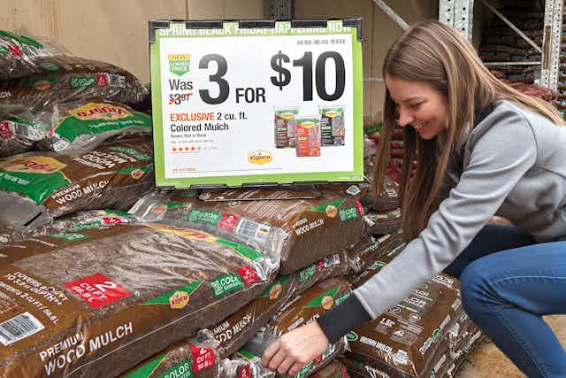 Home Depot Spring Black Friday Is Here: What We're Adding to Our Cart card image