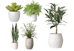 Threshold Artificial Plants
