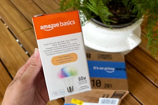 a hand holding a box with a light bulb in front of a plant and Amazon box
