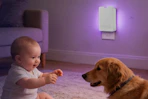 a baby and dog near a fly trap
