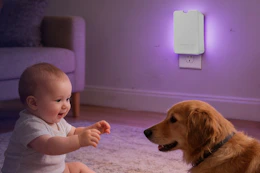 a baby and dog near a fly trap