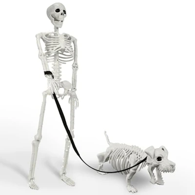 Lighted Human & Dog Skeleton