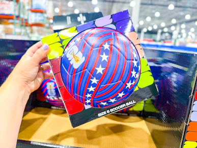 FIFA World Cup Soccer Ball