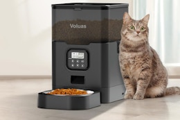 Automatic Cat Feeder, Just $30 on Amazon (Reg. $60) card image