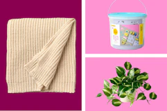 Magnolia blankets, Easter chalk, and faux plant