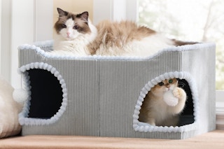 A grey corduroy box with two holes for a cat to crawl inside and a sisal scratch pad for a roof, plus scalloped white trim and a white ball