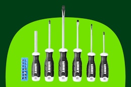 Walmart Slashed This Popular Screwdriver Set to Just $10.98 (17-Pieces) card image