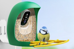 Highly Rated Smart Birdfeeder, 55% Off for Amazon Pet Day (Now Just $67.99) card image