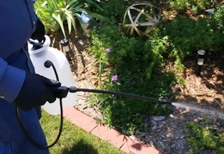 amazon chapin lawn sprayer 2023 1 1682788402 1682788403