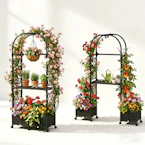 Rose Planter Box with Trellis