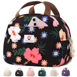 Insulated Lunch Bag